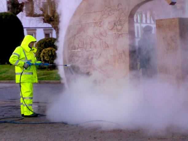 Best Local Pressure Washing Services  in Breinigsville, PA