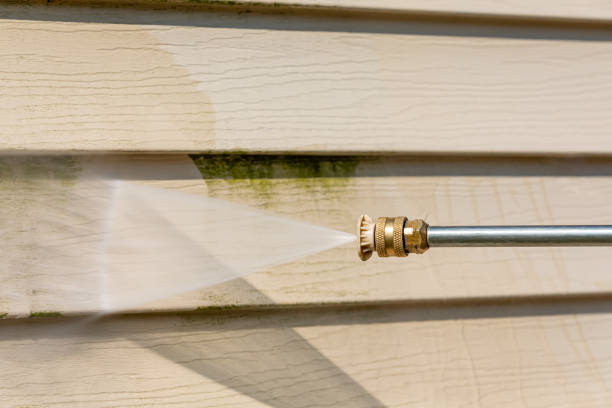 Best Pressure Washing Siding  in Breinigsville, PA